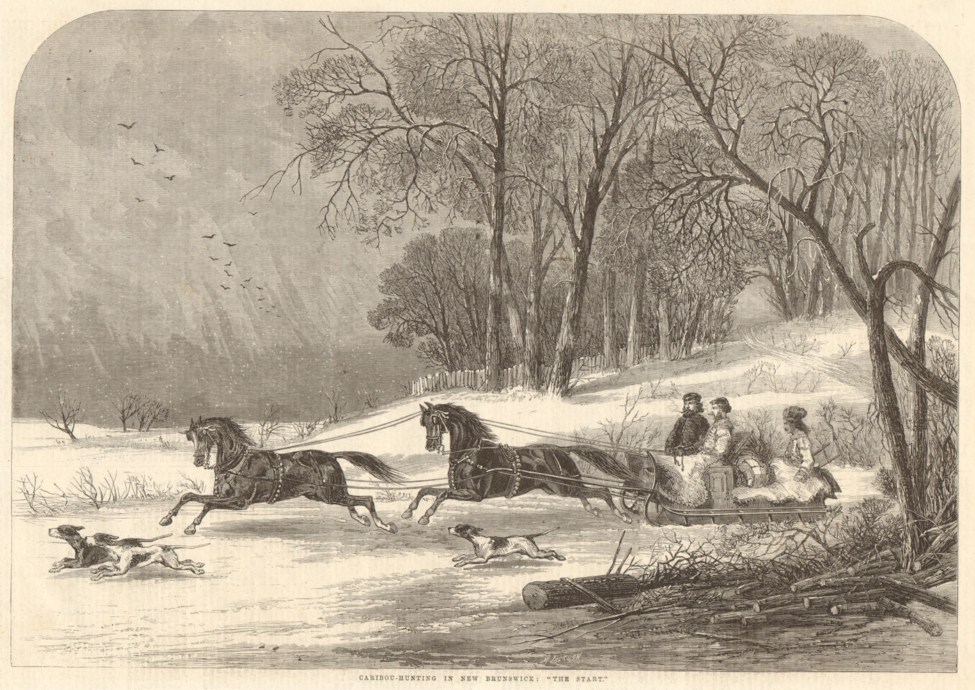 Caribou-hunting in New Brunswick: